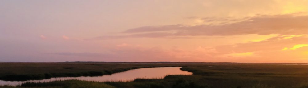 Our Great American SE Roadtrip, GA Sea Islands