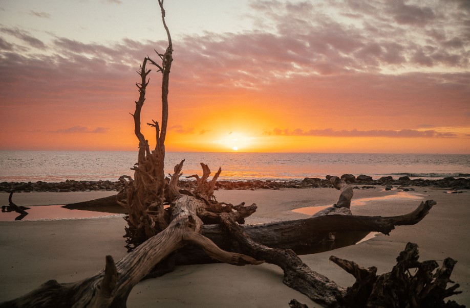 Exploring the Enchantment of Georgia’s Sea Islands